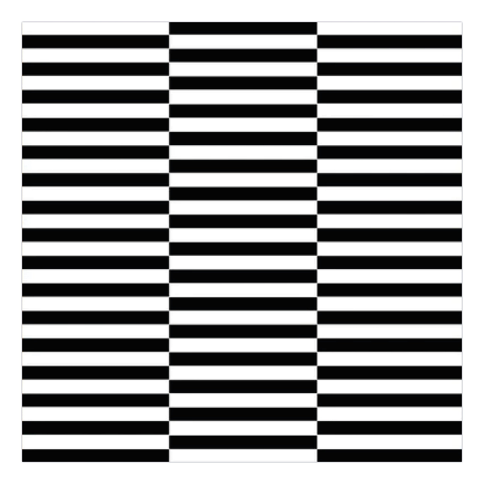 Alfombra Vinílica / Lineas B&W 2