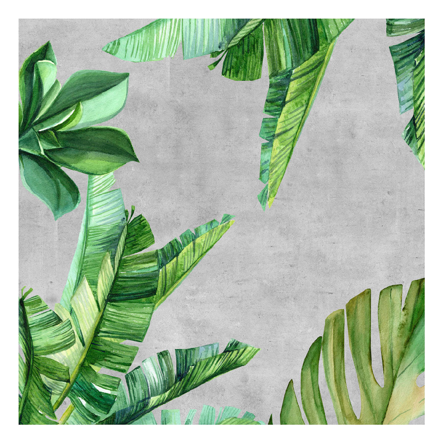 Alfombra Vinílica / Cemento Tropical 3