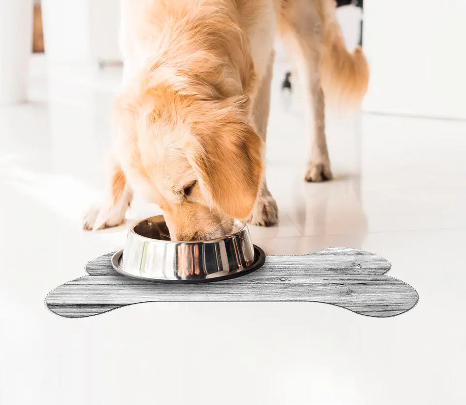 Alfombra Vinílica Pets / Wood 1