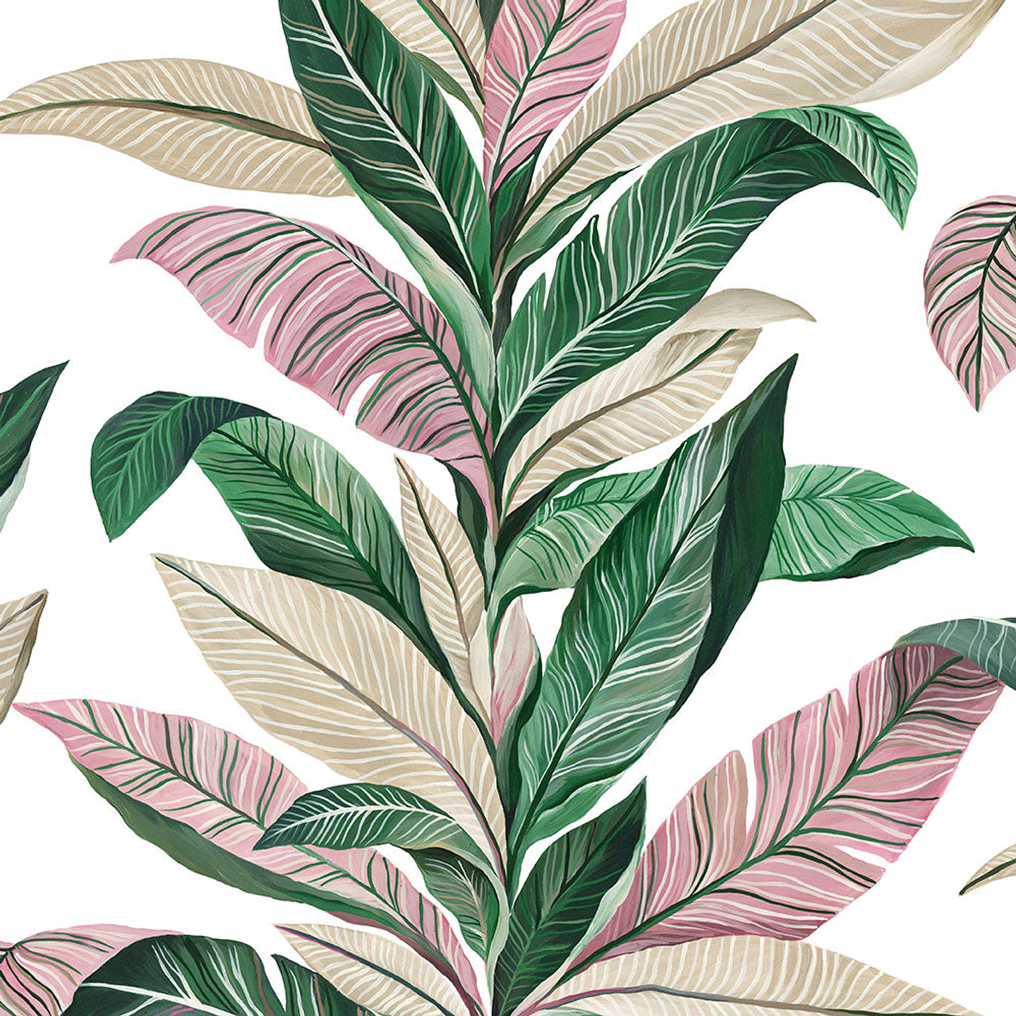 Papel Mural / 560-1 (Viva) 1