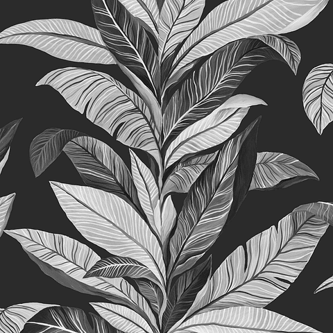 Papel Mural / 560-4 (Viva)