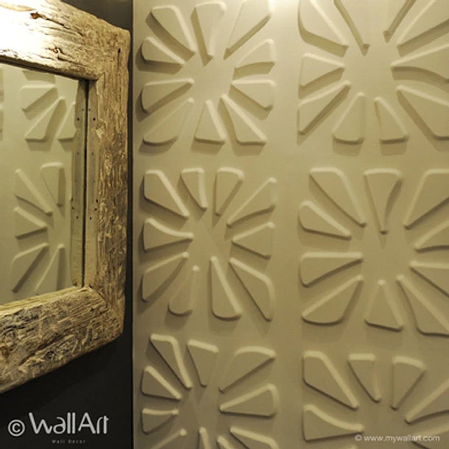 Placa 3D / Caryotas 1