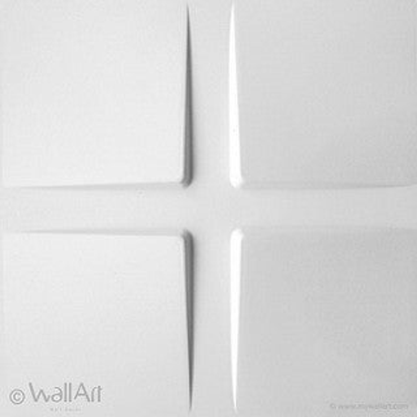 Placa 3D / PITCHES 1