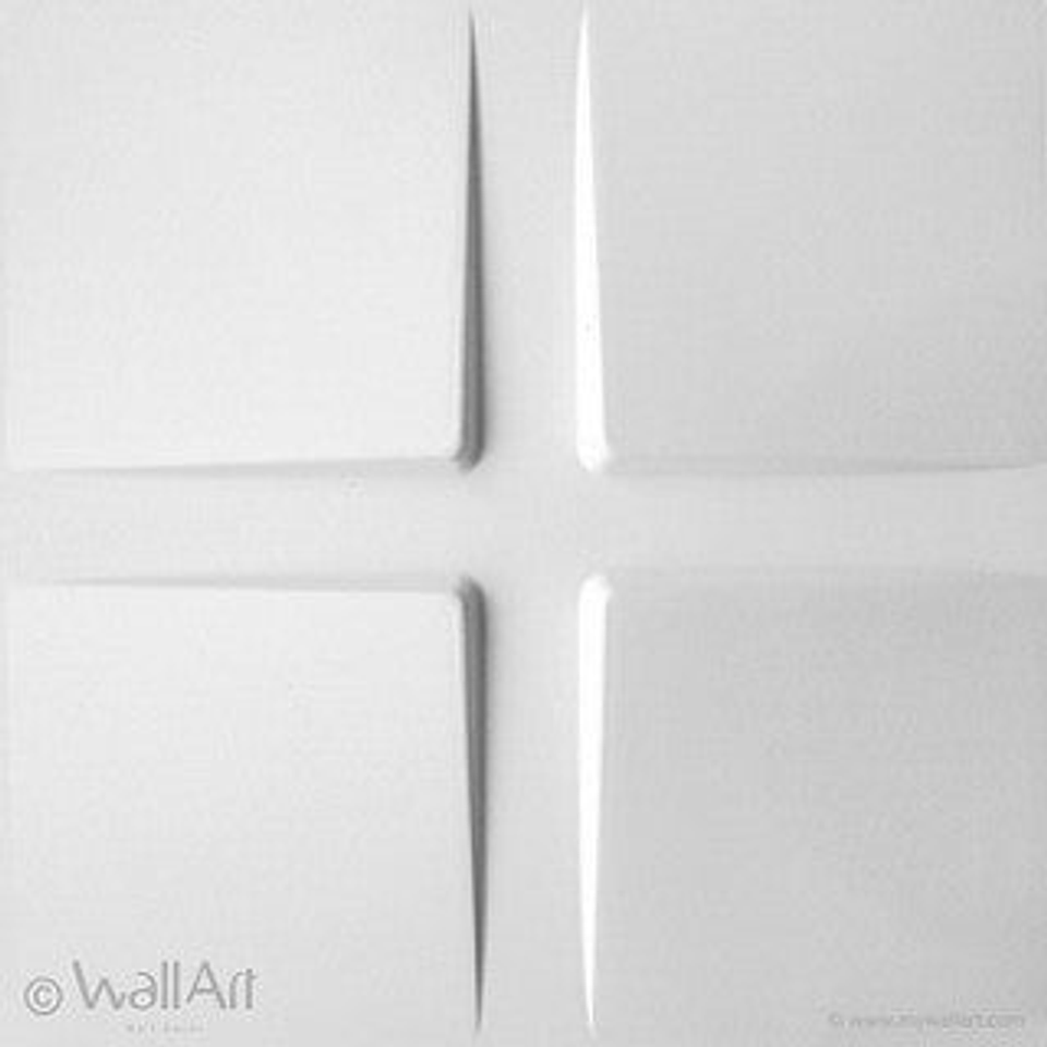 Placa 3D / PITCHES 1