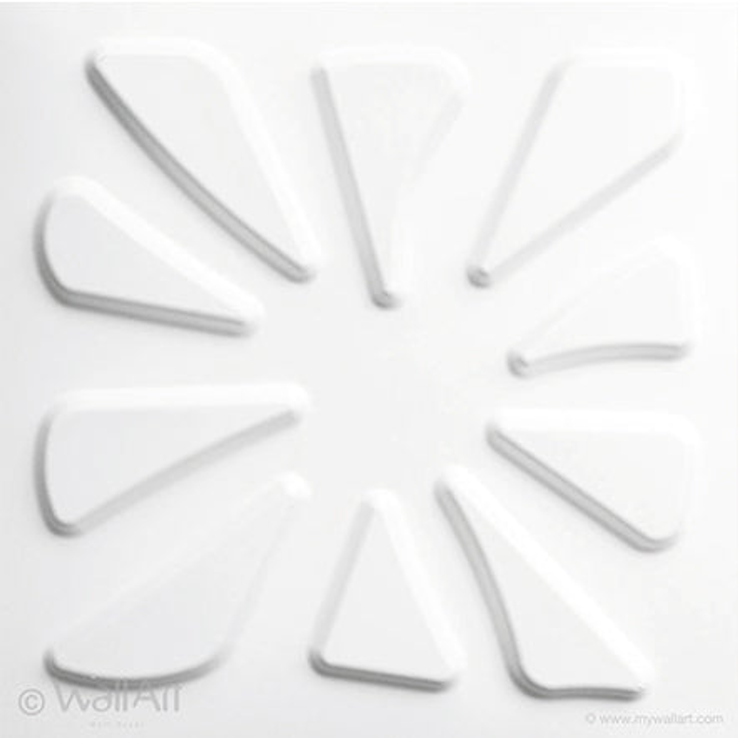 Placa 3D / Caryotas 2