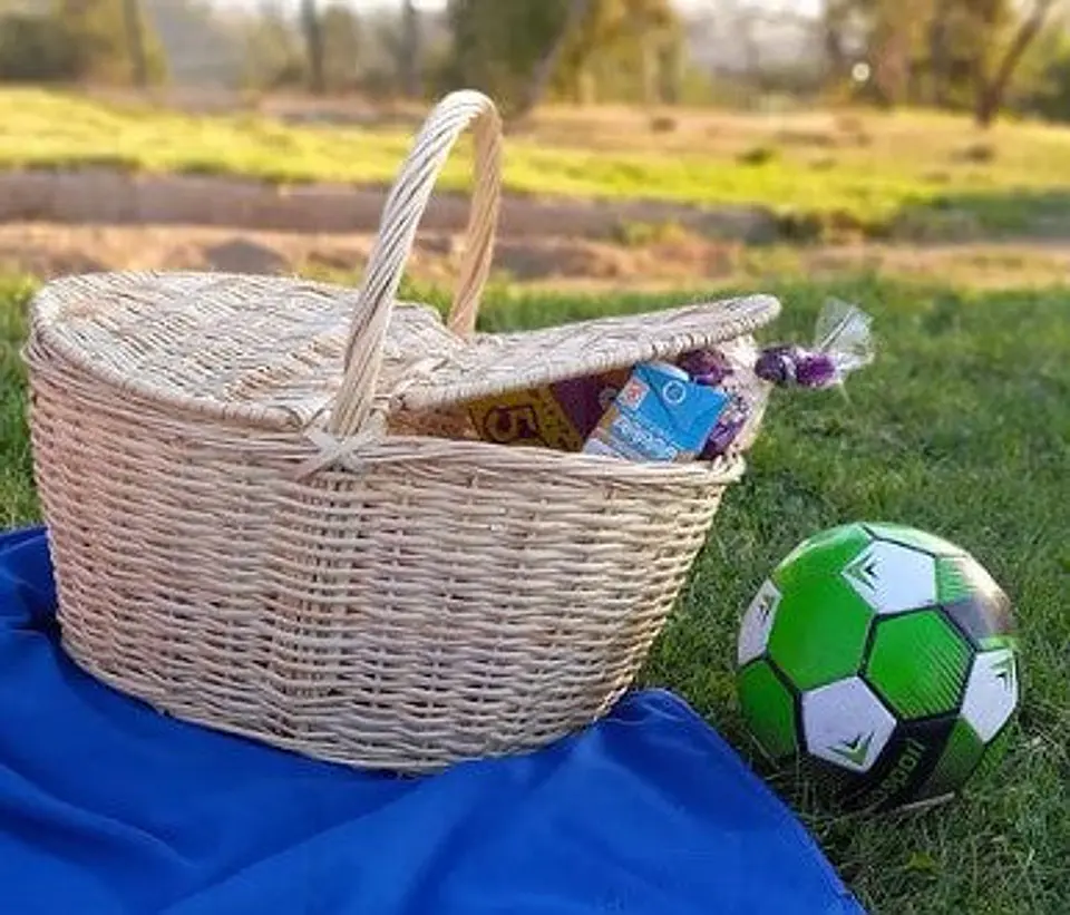Canasta de Picnic 1