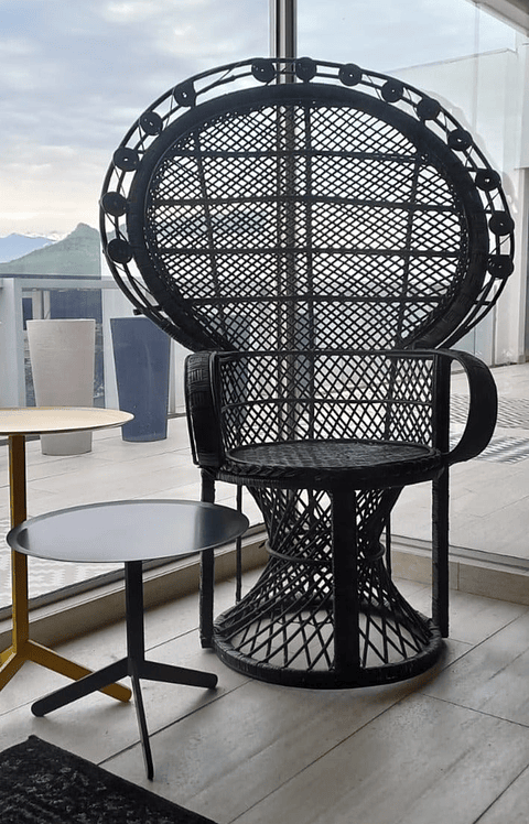 Sillón Julio Iglesias