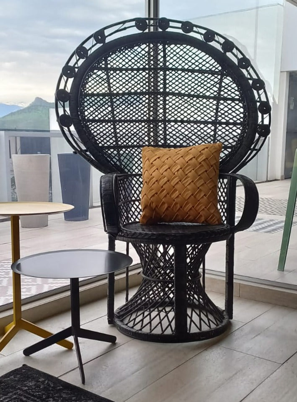 Sillón Julio Iglesias 3