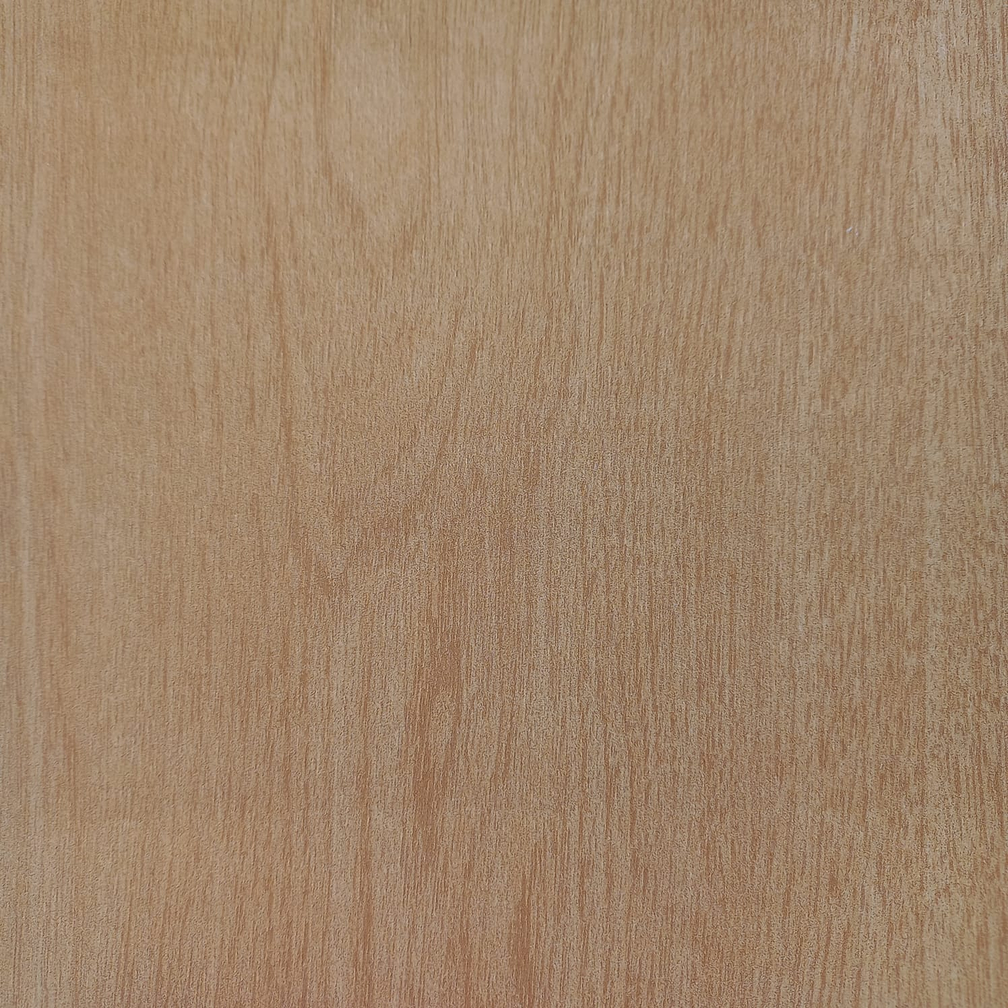 Revestimiento Muraltec / Haya 1