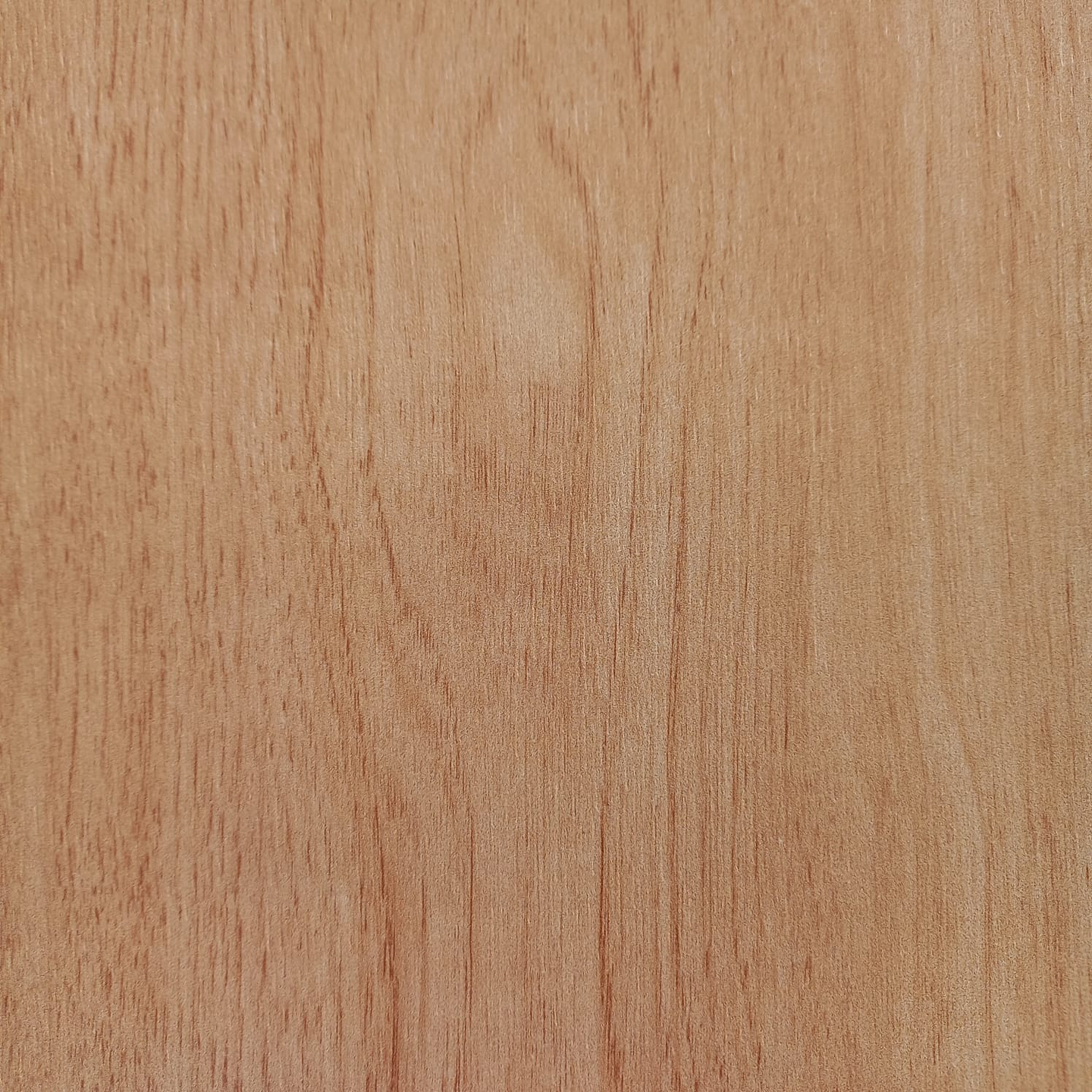 Revestimiento Muraltec / Encina 1