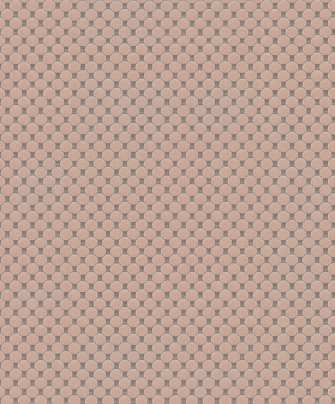 Papel Mural / 220964 (Inspire)