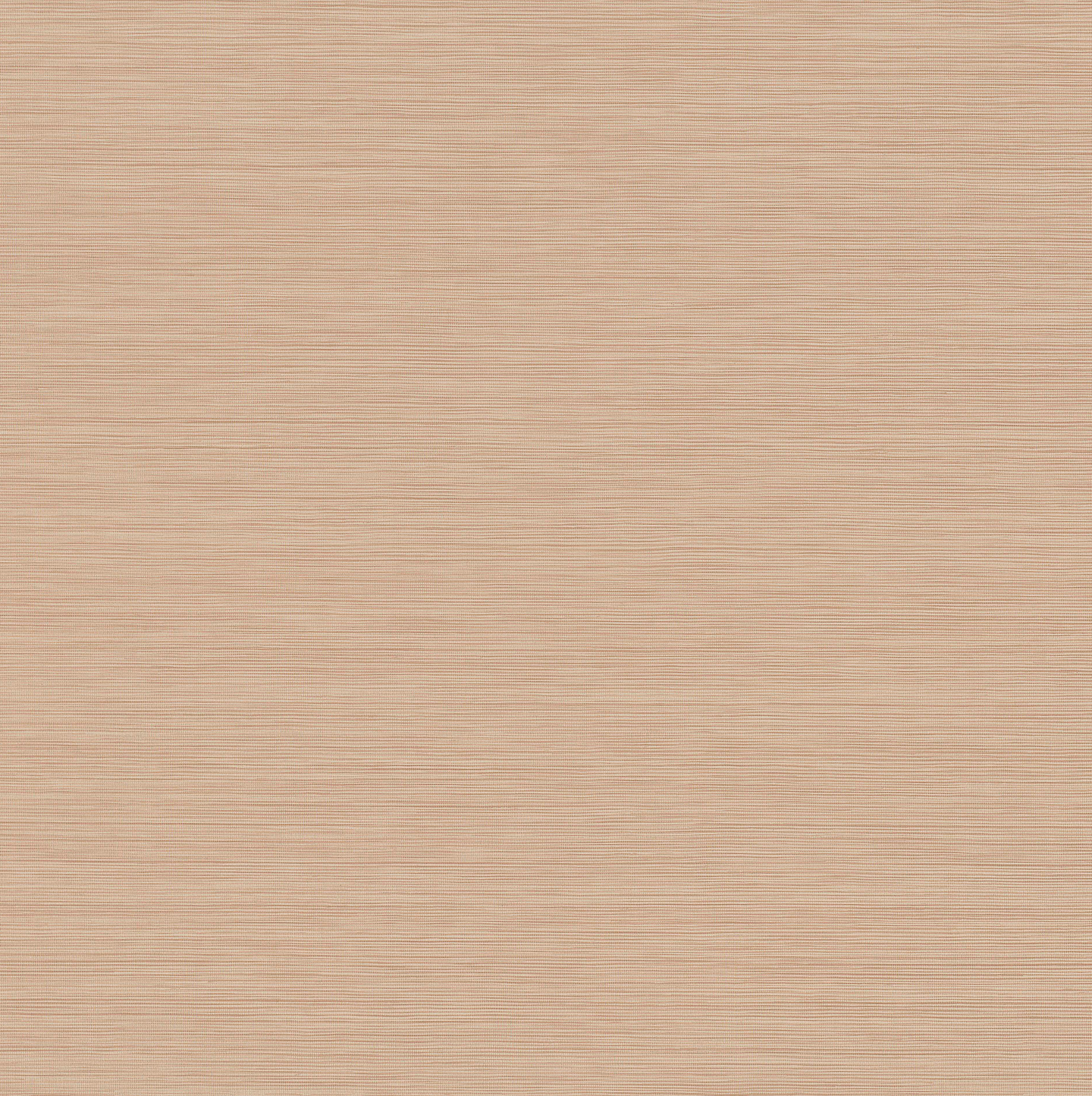 Papel Mural / 221025 (Imagine) 1