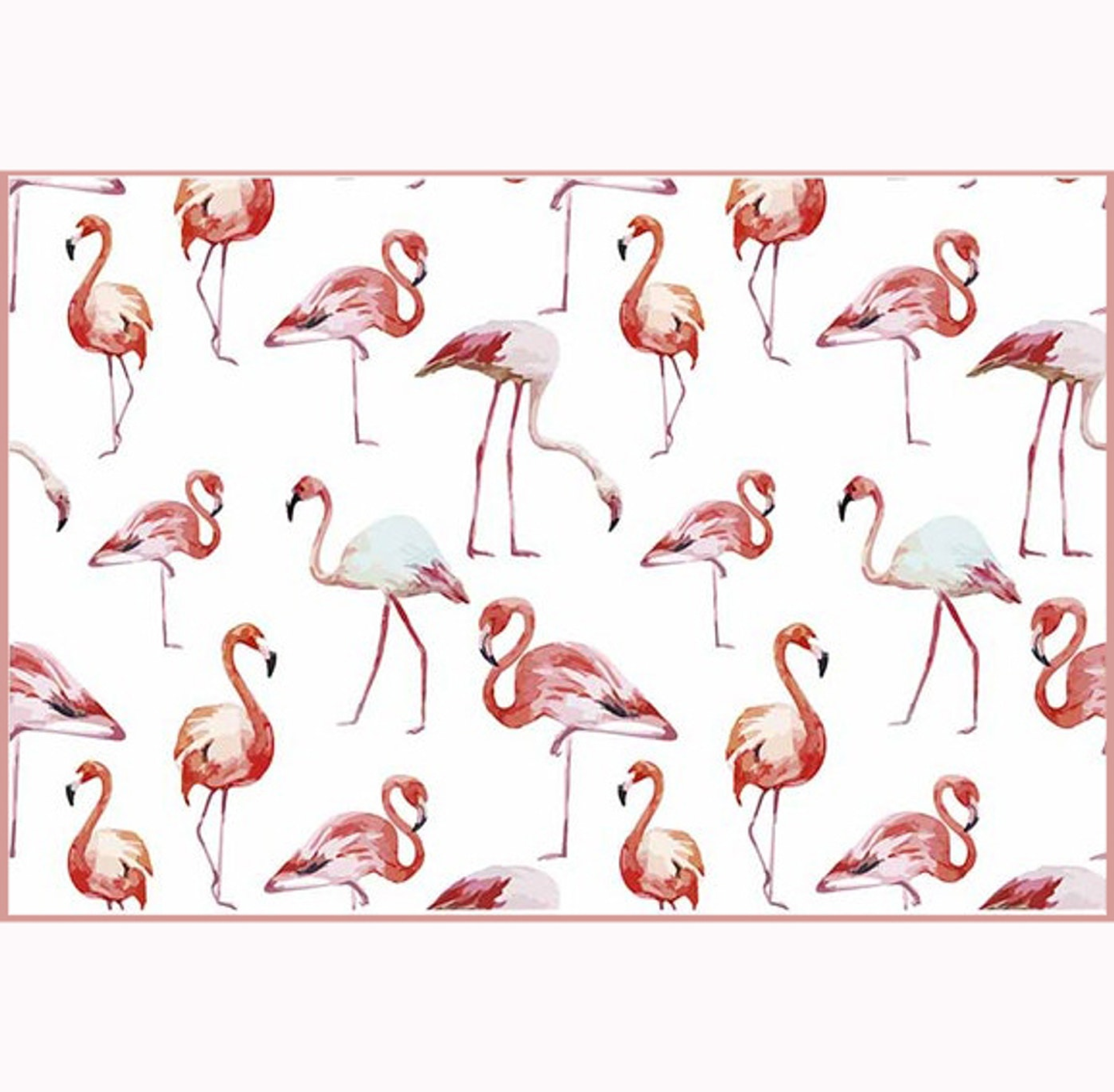 Set Individuales / Flamingo 1