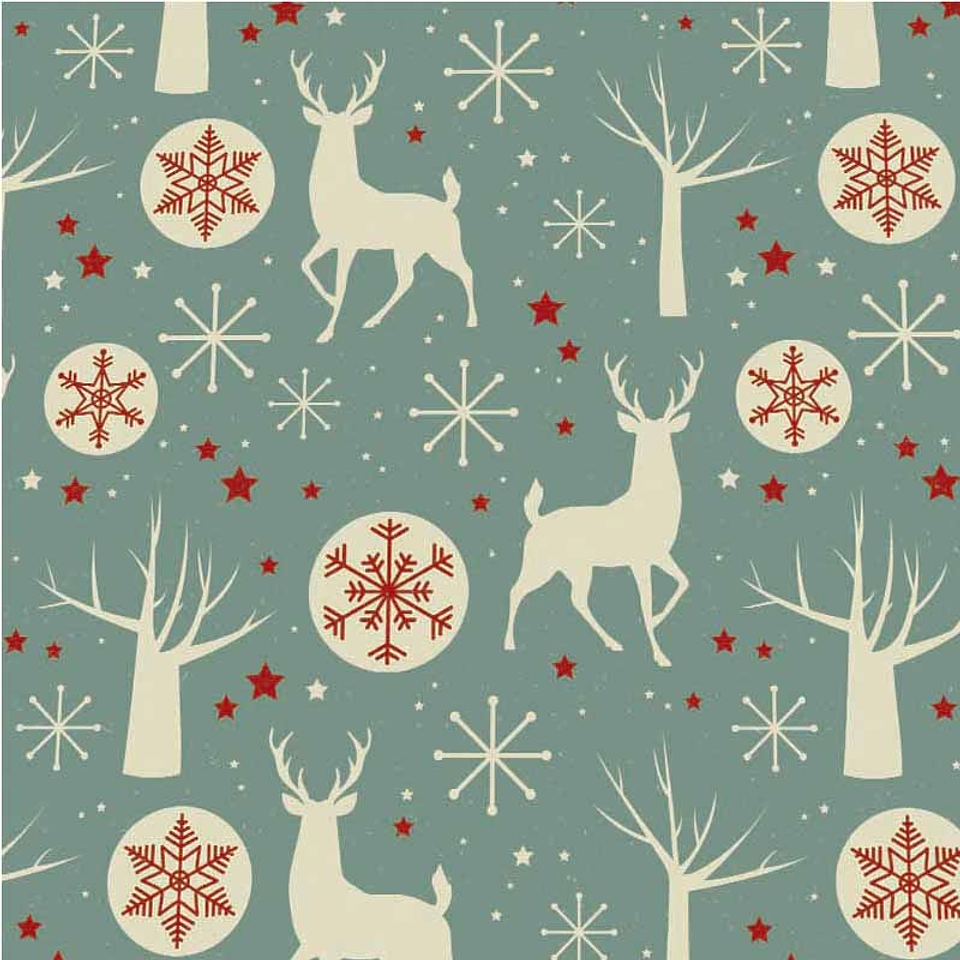 Set Individuales / Renos 2