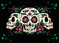 Set Individuales / Calavera Floral - Miniatura 2