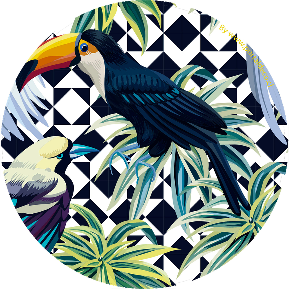 Set Individuales / Tropical Birds 2
