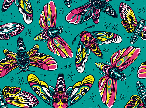 Set Individuales / Insectos