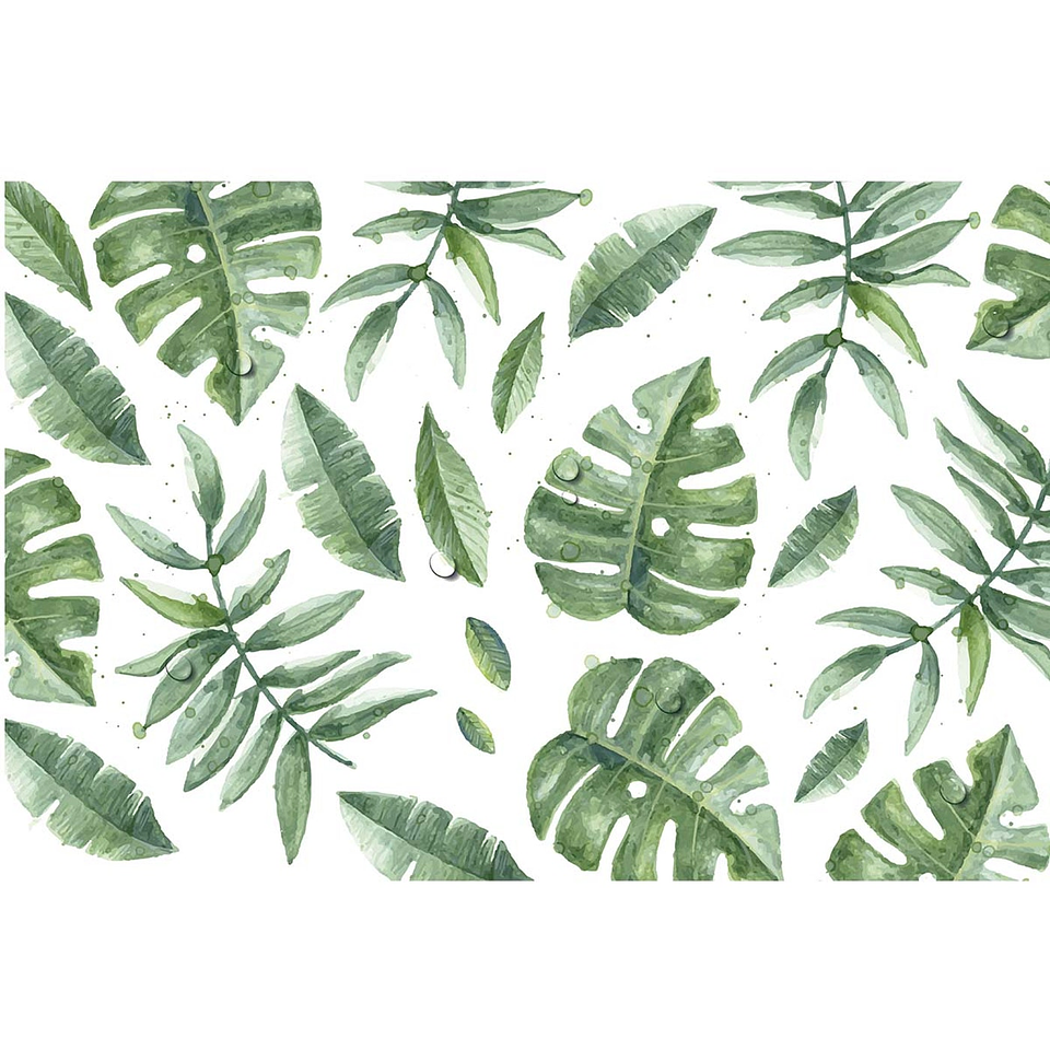 Set Individuales / Tropical 1