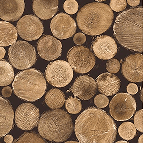 Papel Mural / SD3801 (Geométrico&Patrones)