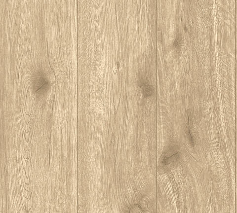 Papel Mural / 300434 (Elements II)