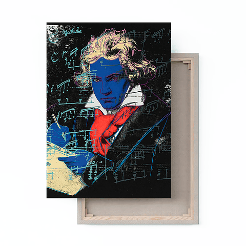 Cuadro Canvas / Beethoven