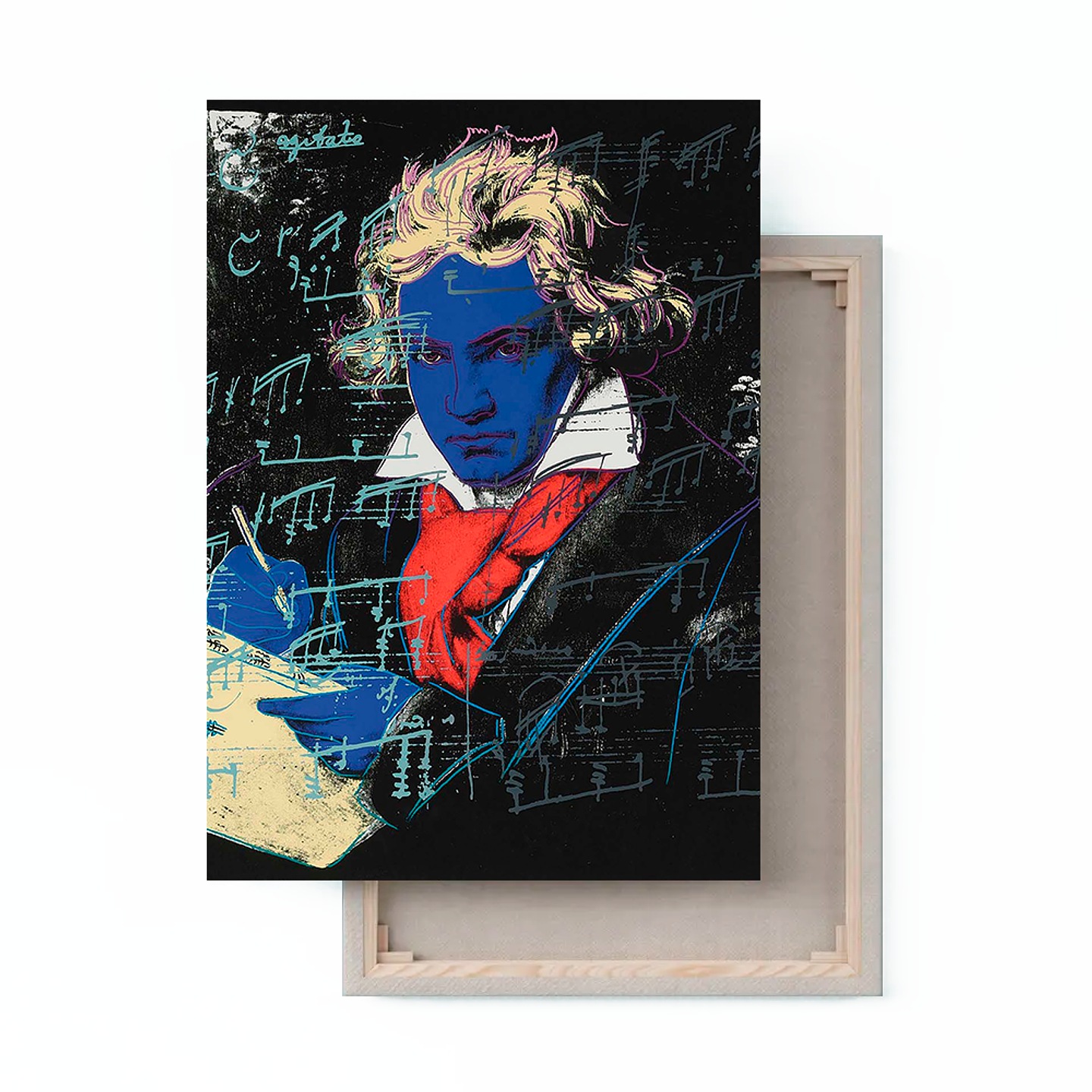Cuadro Canvas / Beethoven 1