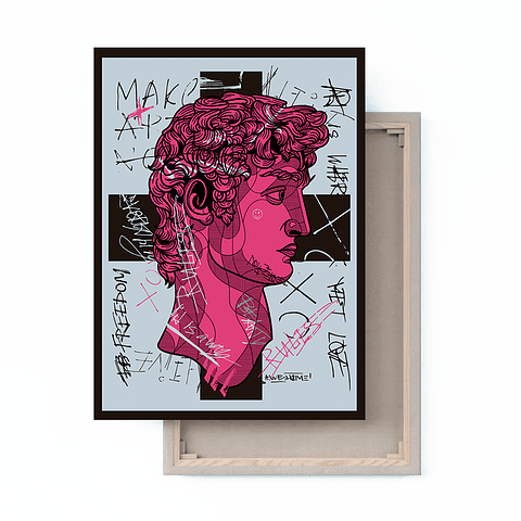 Cuadro Canvas / David Graffiti