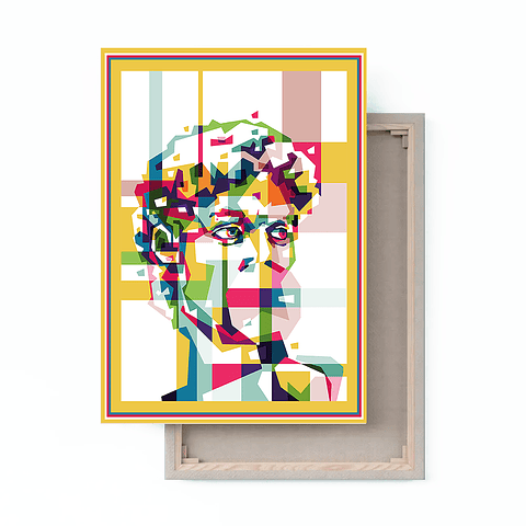 Cuadro Canvas / David Pop Art