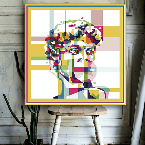 Cuadro Canvas / David Pop Art