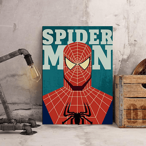 Cuadro Canvas / Spider Man