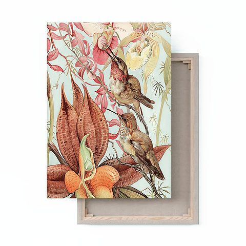 Cuadro Canvas / Vintage Bird I