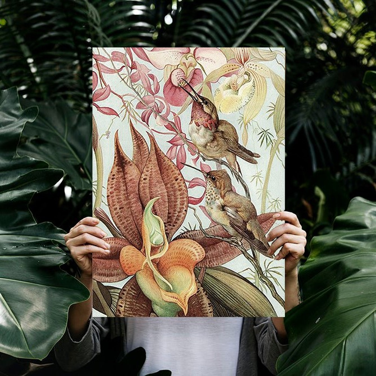 Cuadro Canvas / Vintage Bird I 2