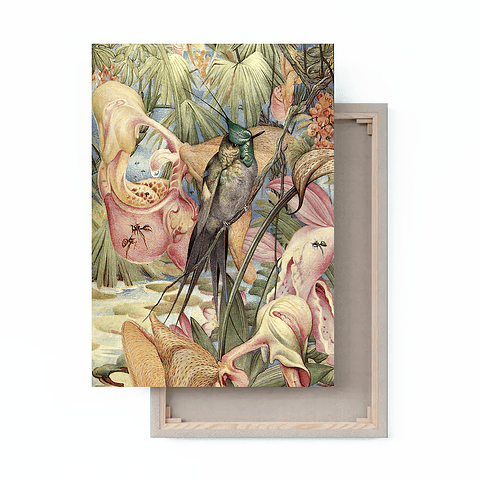 Cuadro Canvas / Vintage Bird Il