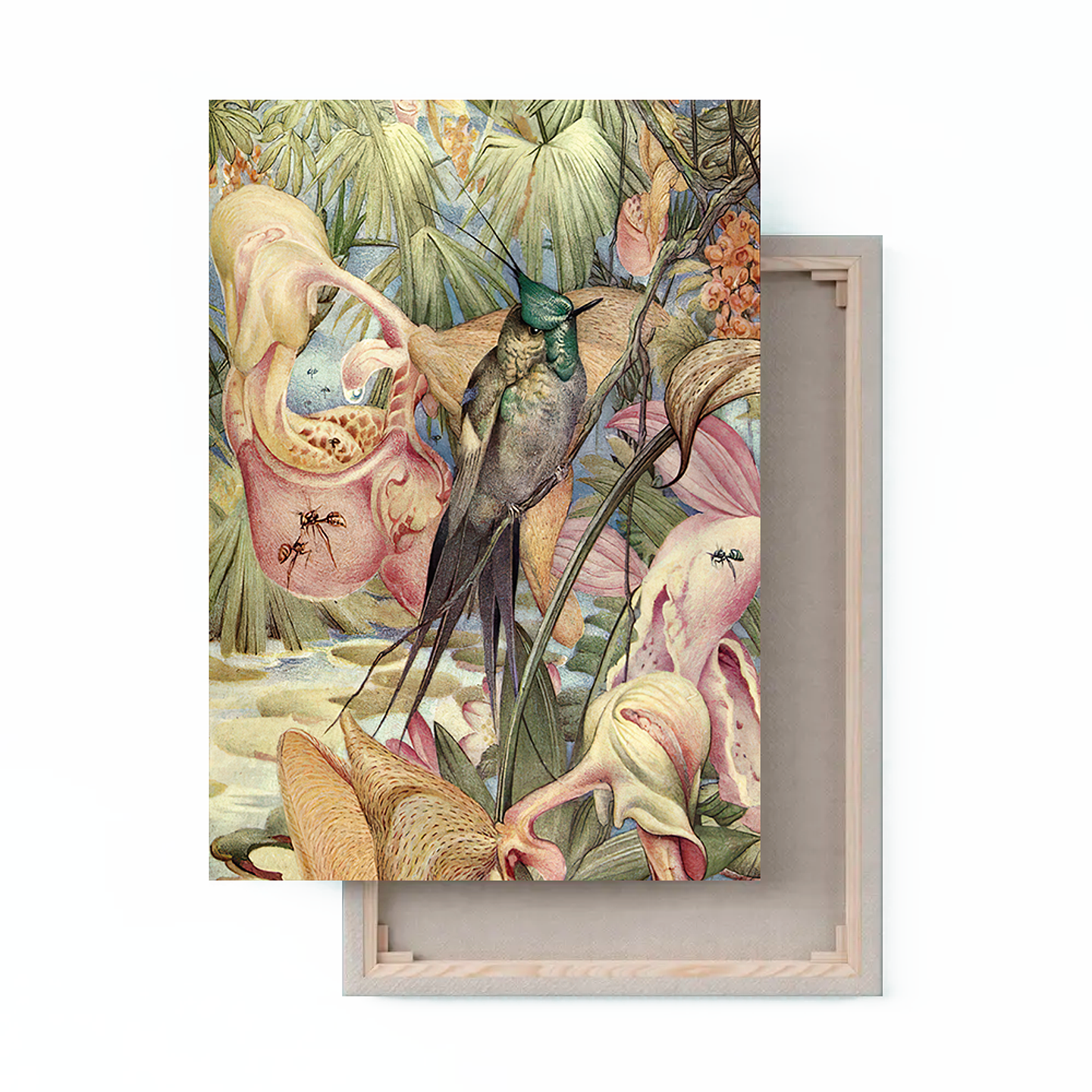 Cuadro Canvas / Vintage Bird Il 1