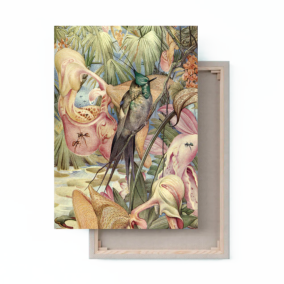 Cuadro Canvas / Vintage Bird Il 1