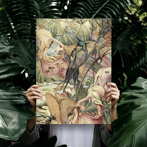 Cuadro Canvas / Vintage Bird Il