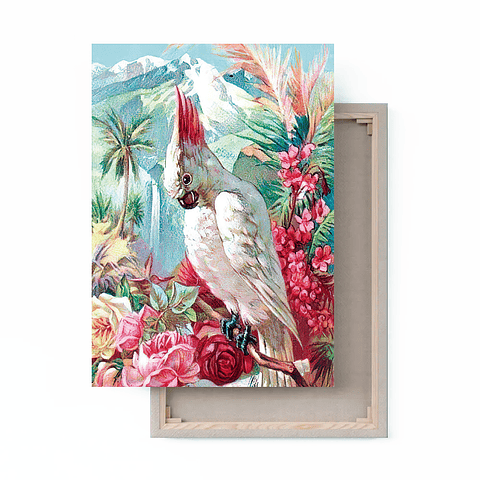 Cuadro Canvas / Vintage Bird Ill