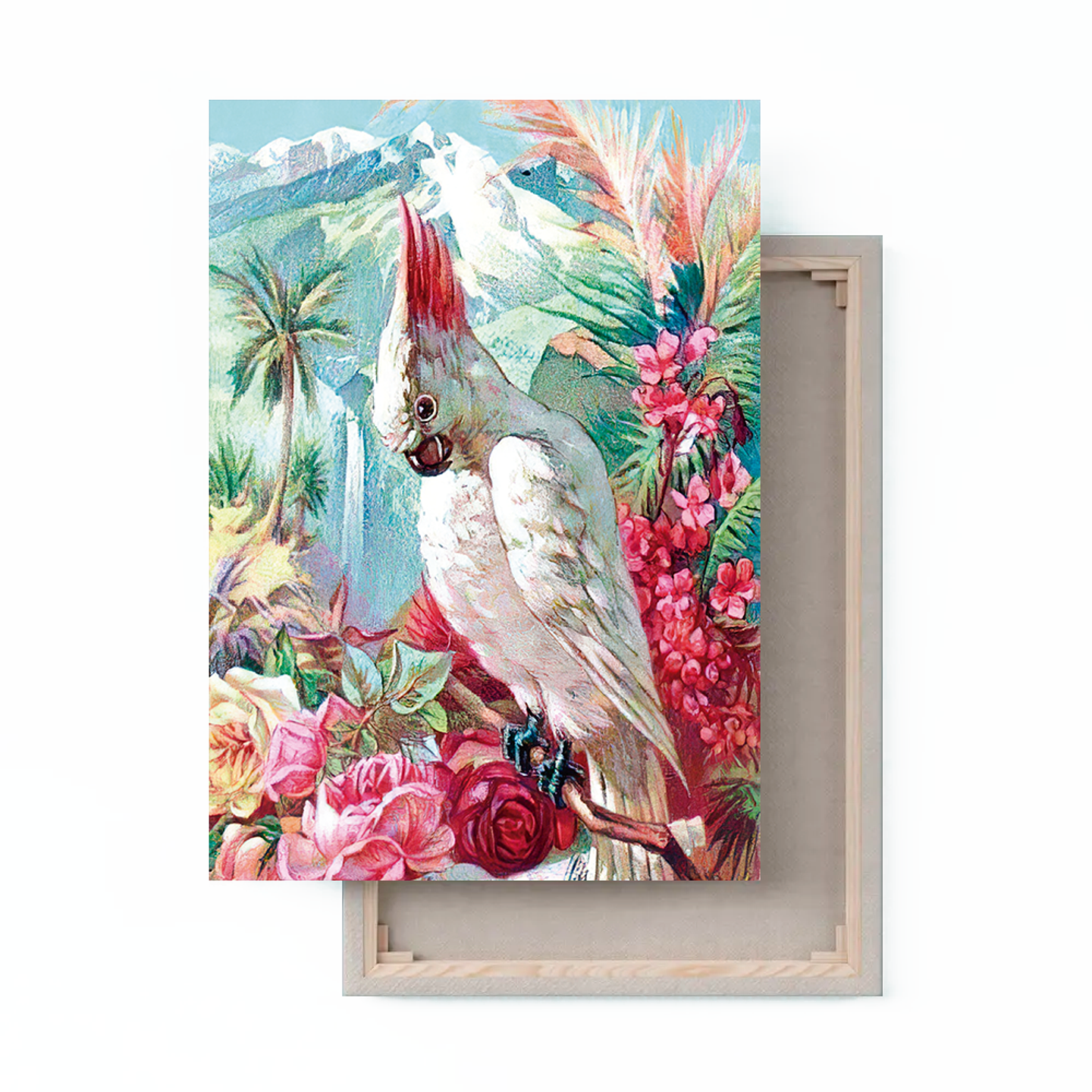 Cuadro Canvas / Vintage Bird Ill 1