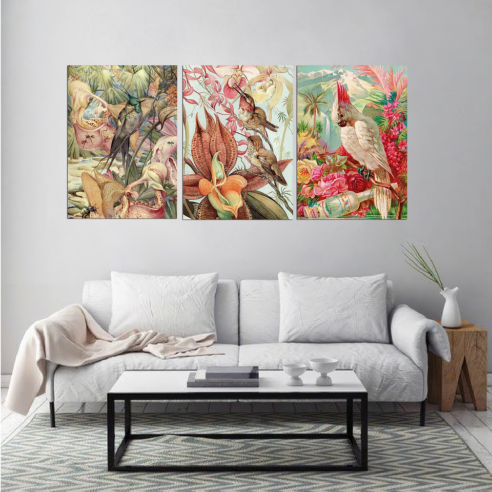 Cuadro Canvas / Vintage Bird Il 3