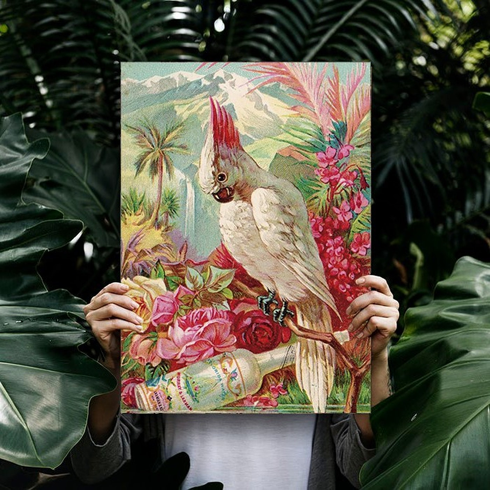 Cuadro Canvas / Vintage Bird Ill 2