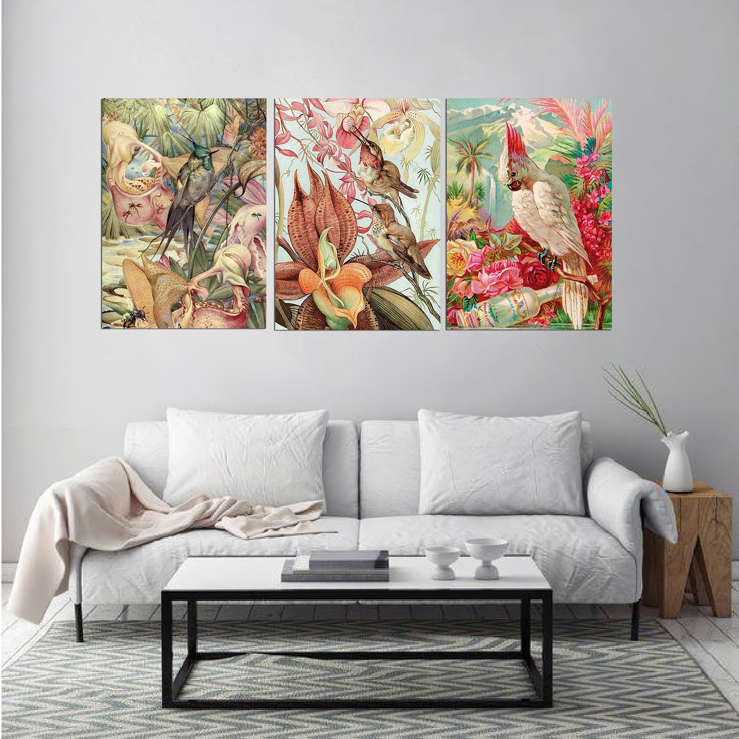 Cuadro Canvas / Vintage Bird Ill 3