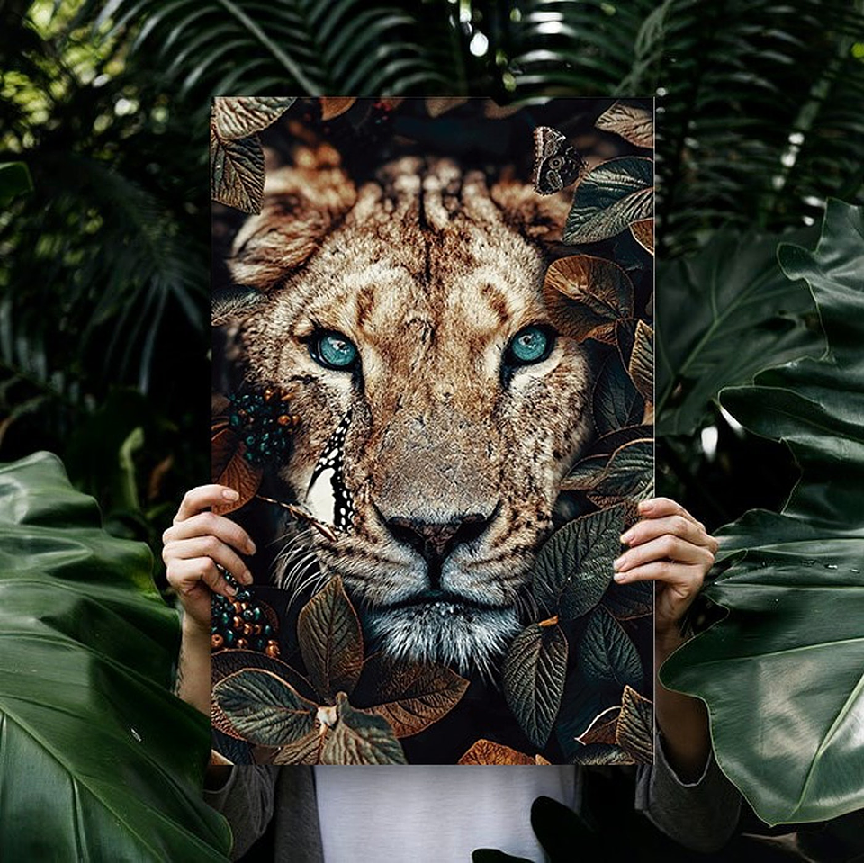 Cuadro Canvas / Wild Animal - Lioness 2