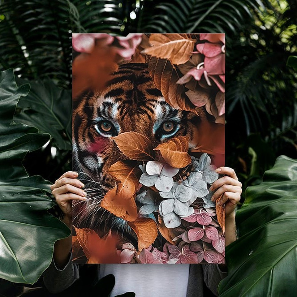 Cuadro Canvas / Wild Animal - Tiger 2