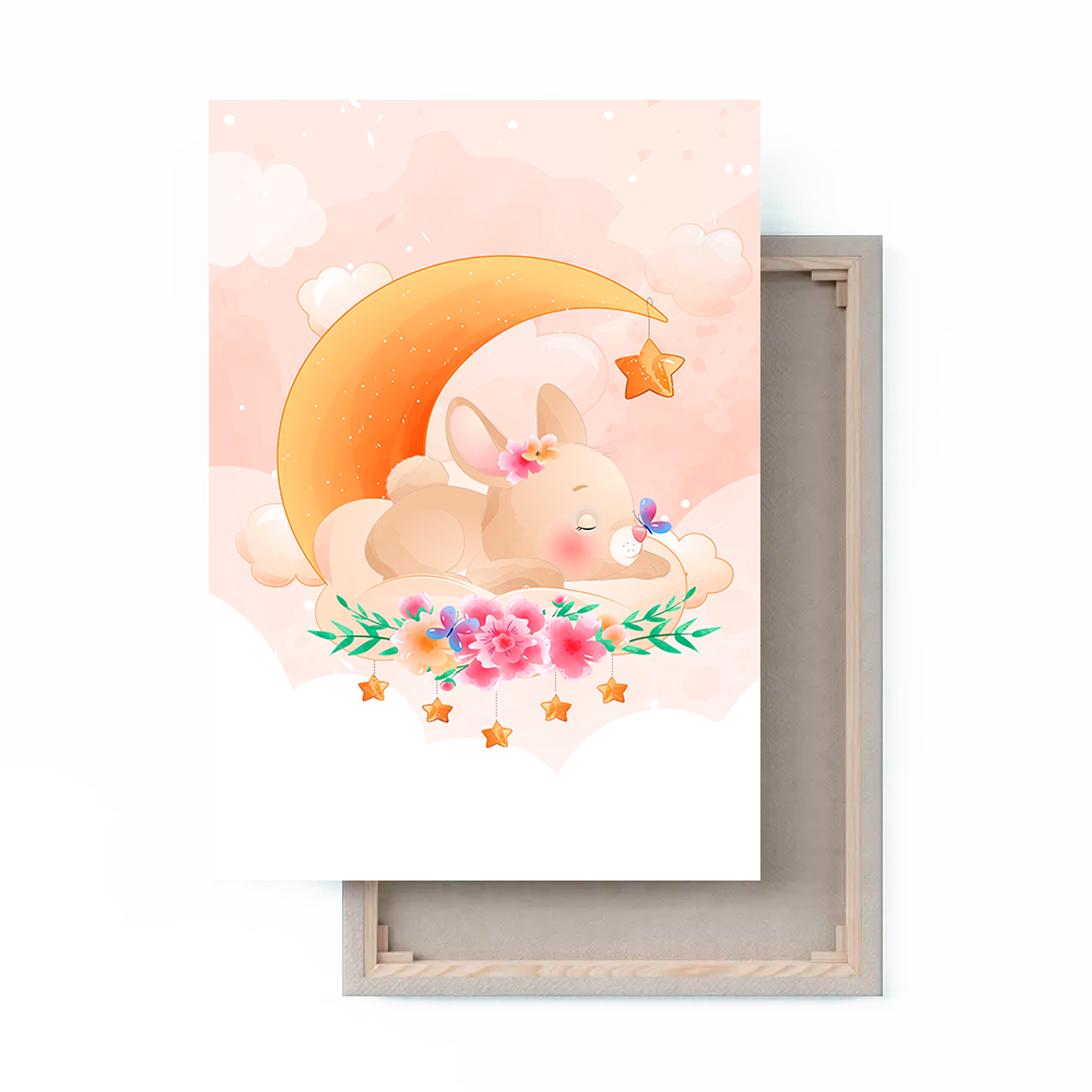 Cuadro Canvas / Rabbit Sky ll 1