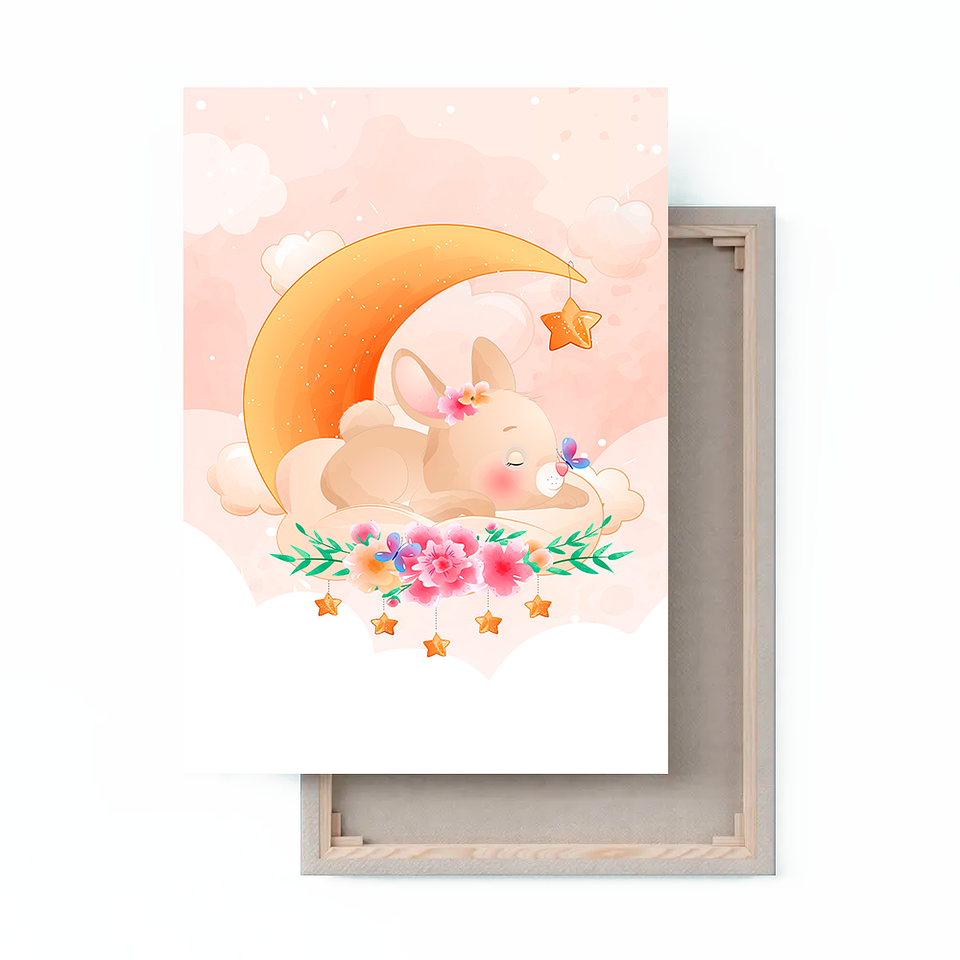 Cuadro Canvas / Rabbit Sky ll 1