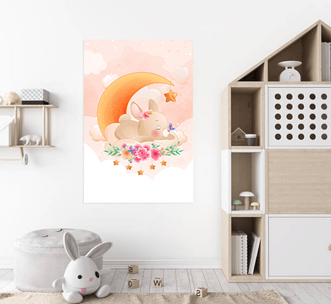 Cuadro Canvas / Rabbit Sky ll