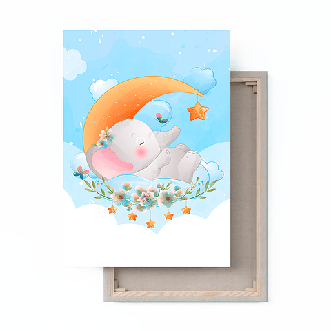 Cuadro Canvas / Elephant Sky ll
