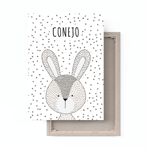 Cuadro Canvas / Conejo