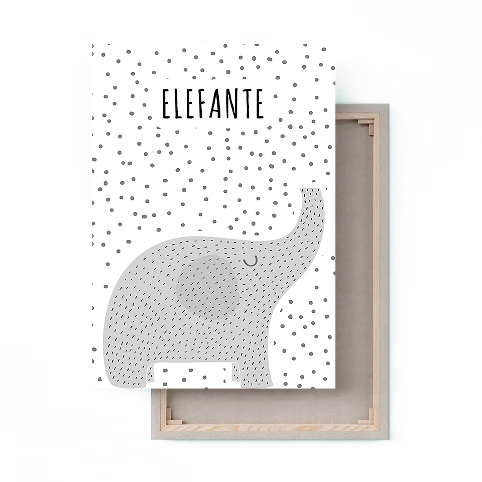 Cuadro Canvas / Elefante 1