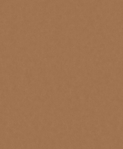 Papel Mural / 220505 (Grand Safari)